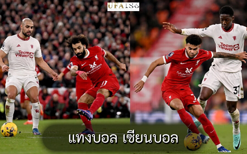 แทงบอล เซียนบอล